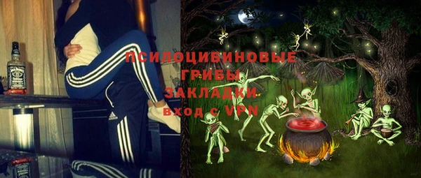 крисы Горнозаводск